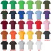 t shirt color chart - Dragons Dogma Store