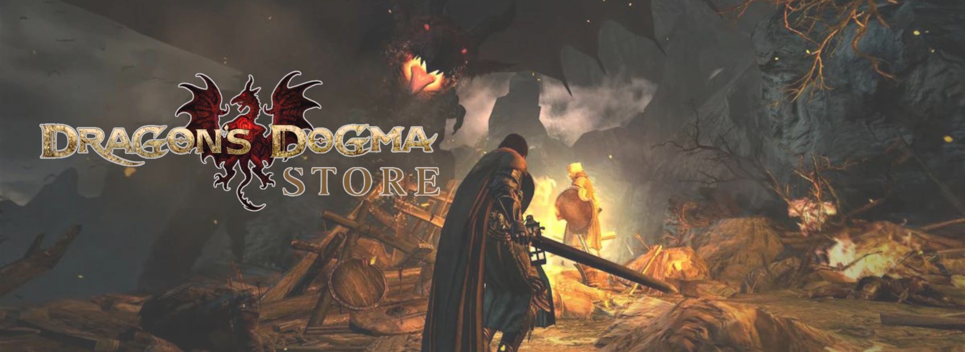 Dragons Dogma Store Banner